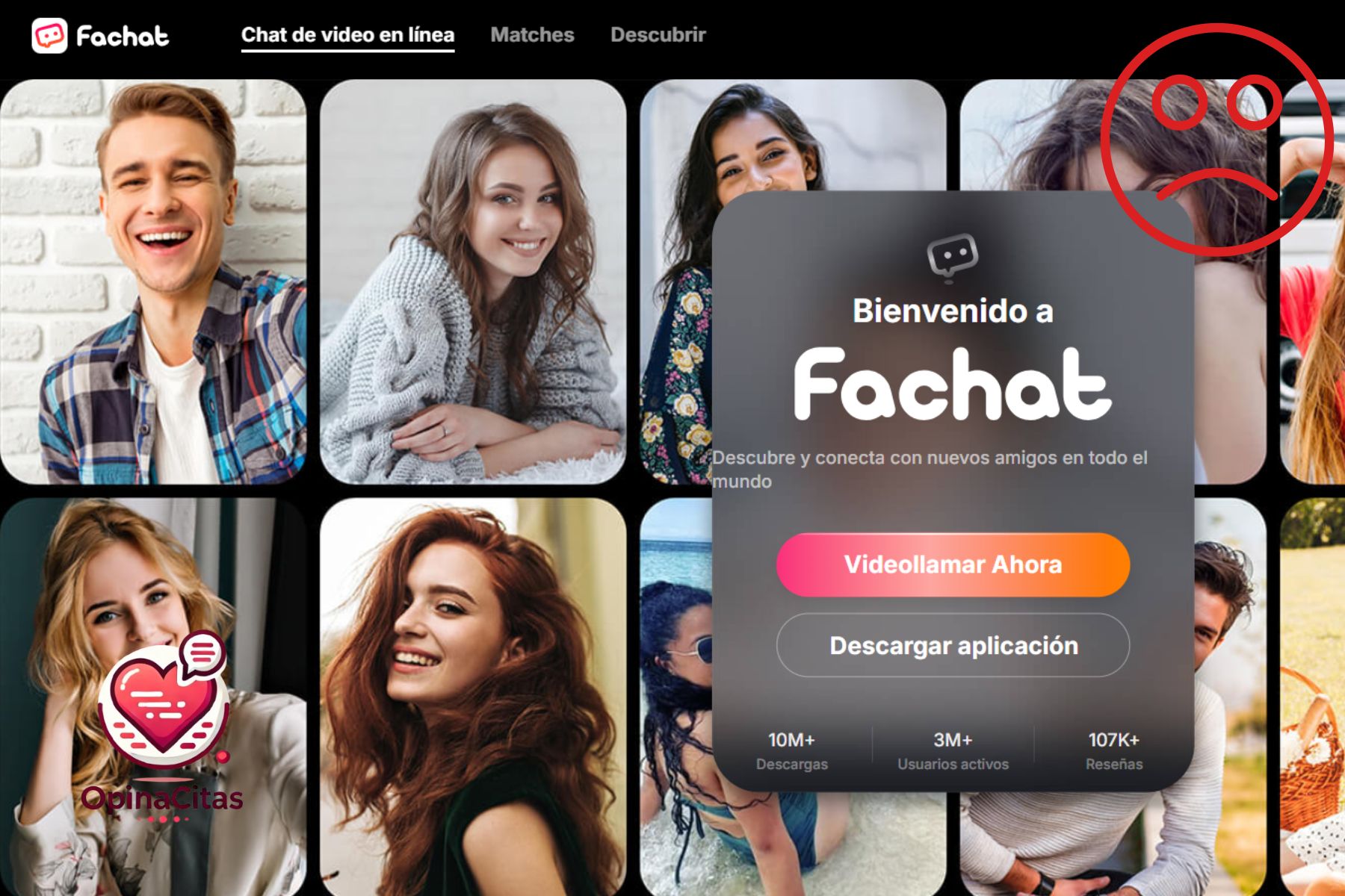 fachat timo